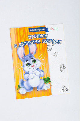 Прописи 16 сторінок